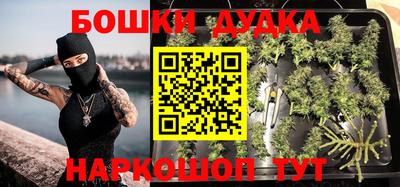 прущие грибы Ипатово